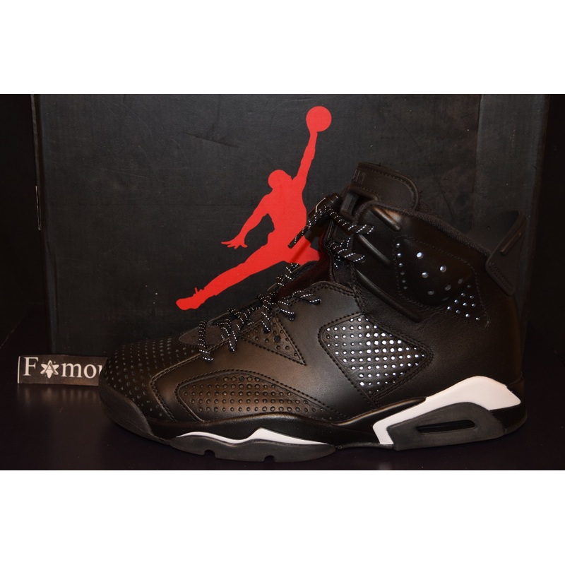 Air Jordan 6 Black Cat