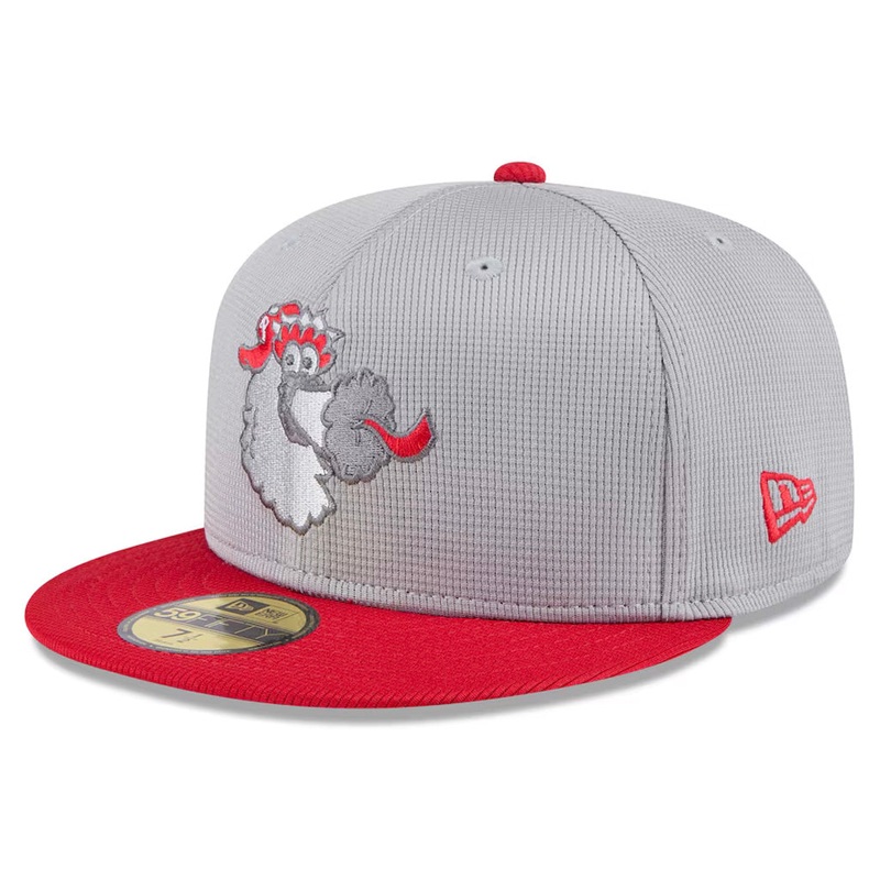 MLB Philadelphia Phillies New Era 2025 Graphite Batting Practice 59FIFTY Fitted Hat – Graphite