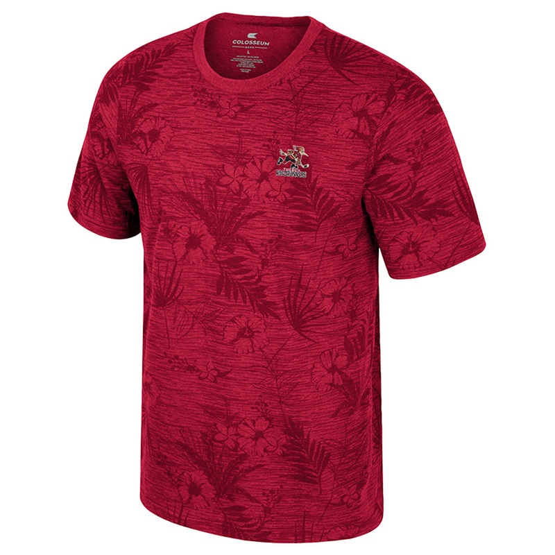 Tucson Roadrunners Colosseum Groves Printed T-Shirt – Red