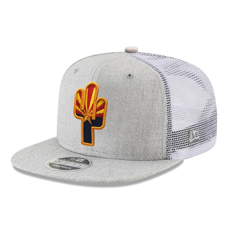 #ALLAZ New Era State Flag Cactus Trucker 9FIFTY Snapback Hat – Heather Gray