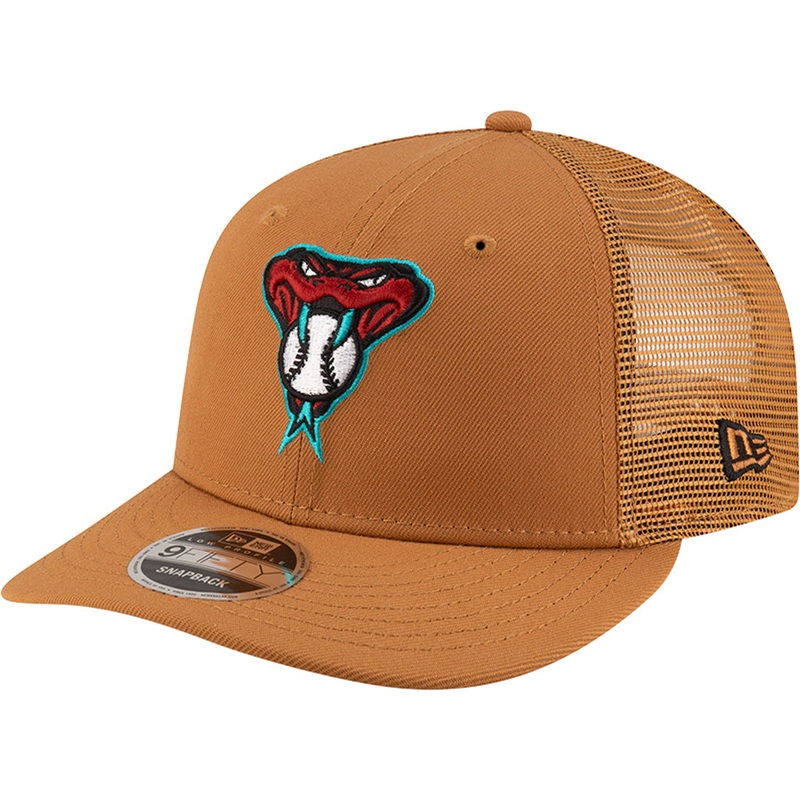 MLB Arizona Diamondbacks Bronze Low Profile 9FIFTY Snapback Hat – Bronze