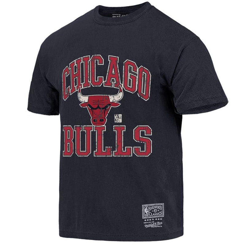 Chicago Bulls Mitchell & Ness NBA HWC Ivy Arch Vintage T-Shirt – Faded Black