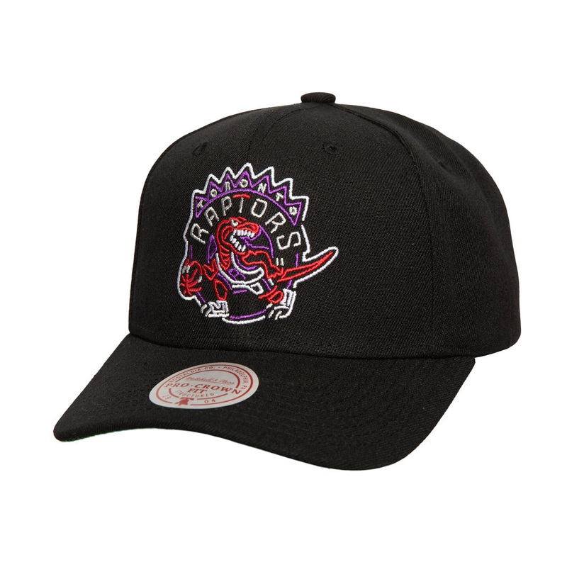 NBA Toronto Raptors Mitchell & Ness Neon Logo Pro Snapback Hat – Black