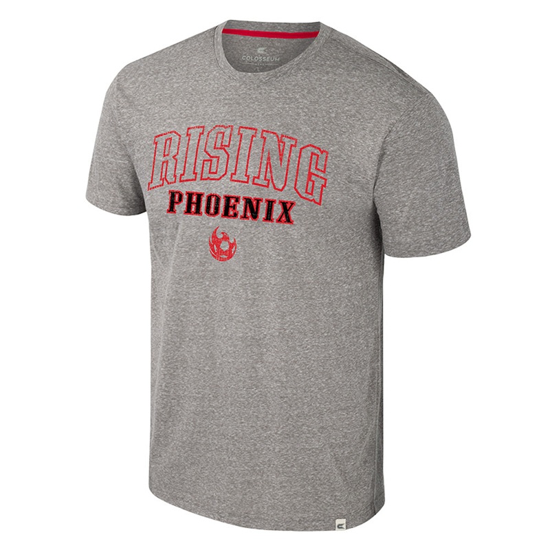 Phoenix Rising Colosseum Electromagnetic T-Shirt – Gray