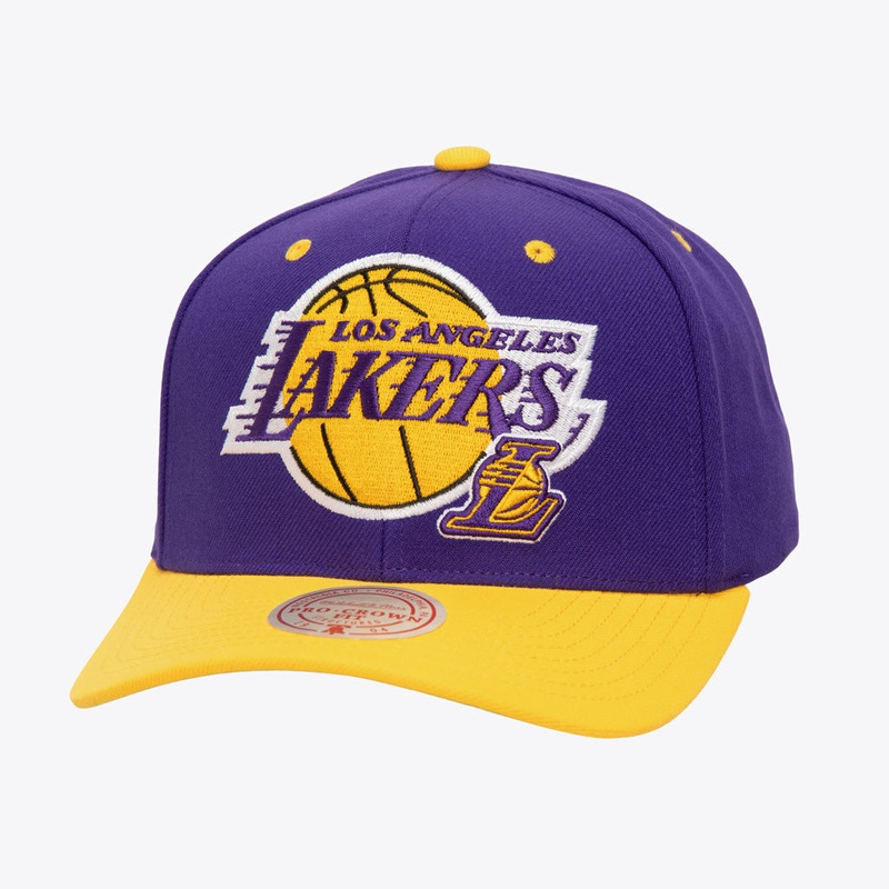 NBA Los Angeles Lakers Mitchell & Ness Cooperstown All In 2.0 Pro Snapback Hat – Purple
