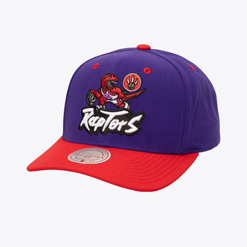 NBA Toronto Raptors Mitchell & Ness Cooperstown All In 2.0 Pro Snapback Hat – Purple