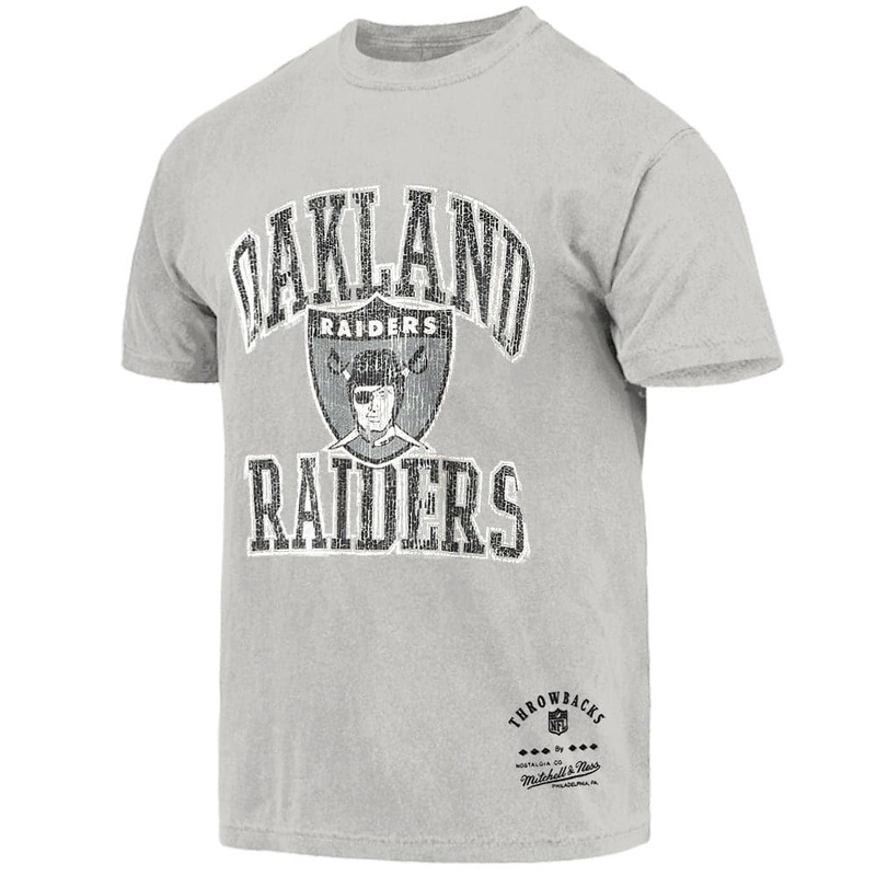 Las Vegas Raiders Mitchell & Ness NFL Ivy Arch Vintage T-Shirt – Faded Grey