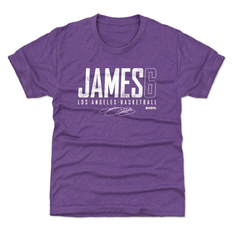 Youths LeBron James Los Angeles Lakers 500 Level NBA Elite Tr-Blend T-Shirt – Purple