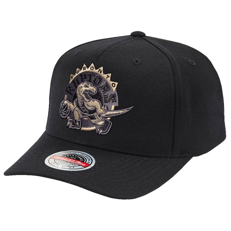 Toronto Raptors Mitchell & Ness NBA HWC Tonal Curve Snapback Hat – Black