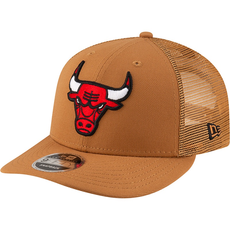 NBA Chicago Bulls Bronze Low Profile 9FIFTY Snapback Hat – Bronze