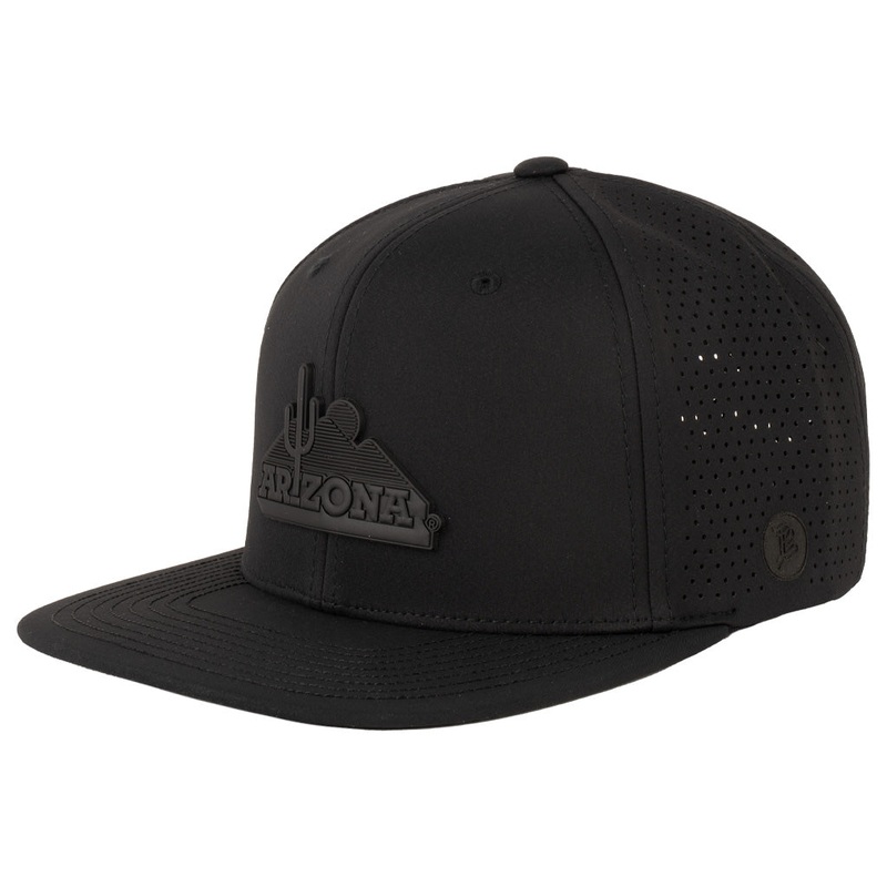 NCAA Arizona Wildcats Branded Bills Black on Black Vault Cactus Flat Elite Snapback Hat – Black