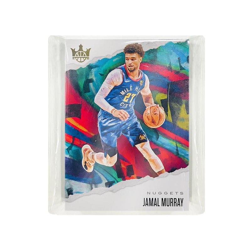 Denver Nuggets NBA Panini 14 Mixed Team Trading Card Set