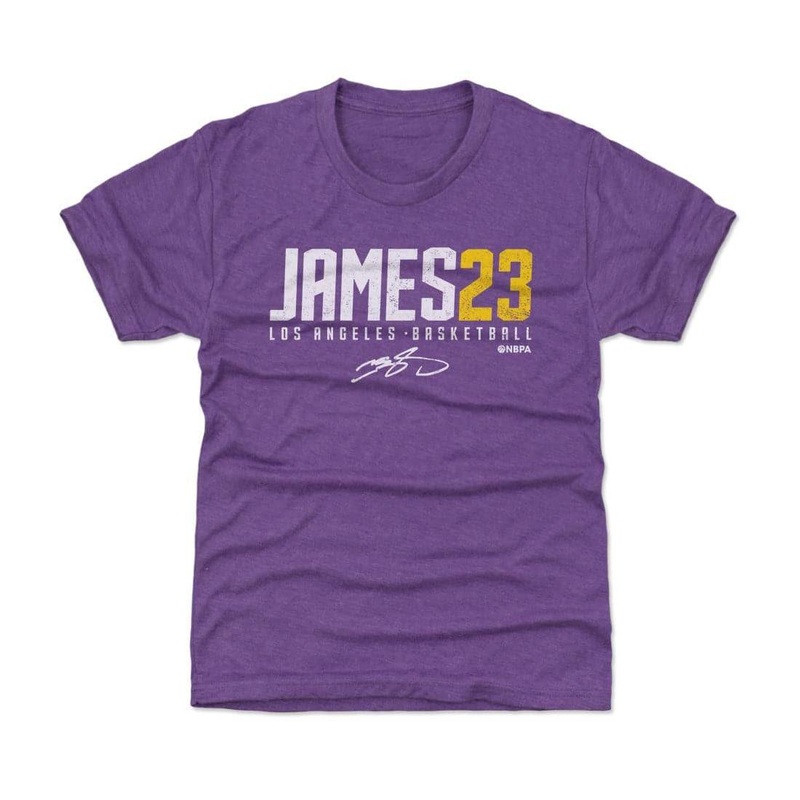 Kids/Youths LeBron James Los Angeles Lakers 500 Level NBA Name T-Shirt – Purple