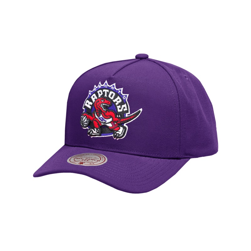 Toronto Raptors Mitchell & Ness NBA HWC Pro Pinch Snapback Hat – Purple