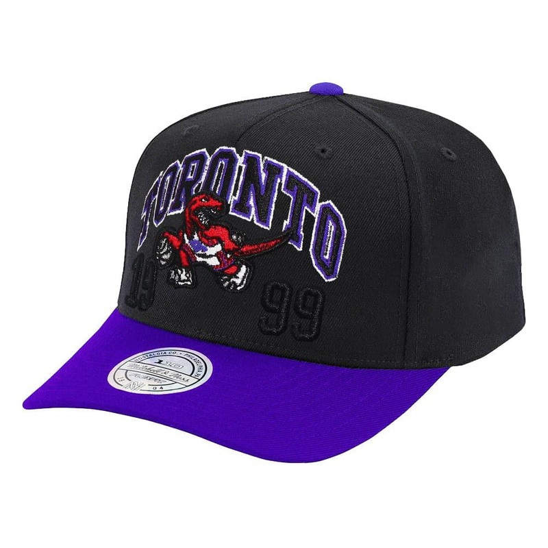 Toronto Raptors Mitchell & Ness NBA Team Spirit 110 Curve Snapback Hat – Black