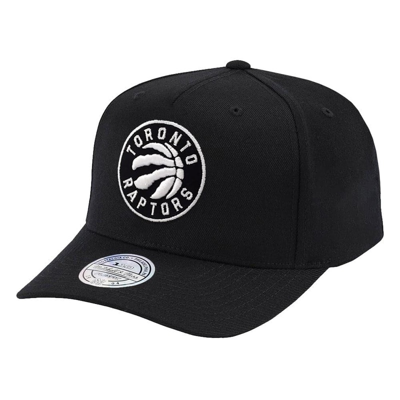Toronto Raptors Mitchell & Ness NBA Black & White 110 Curve Snapback Hat