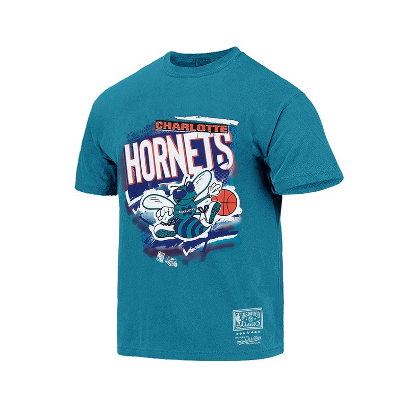Charlotte Hornets Mitchell & Ness NBA Abstract Vintage T-Shirt – Faded Teal