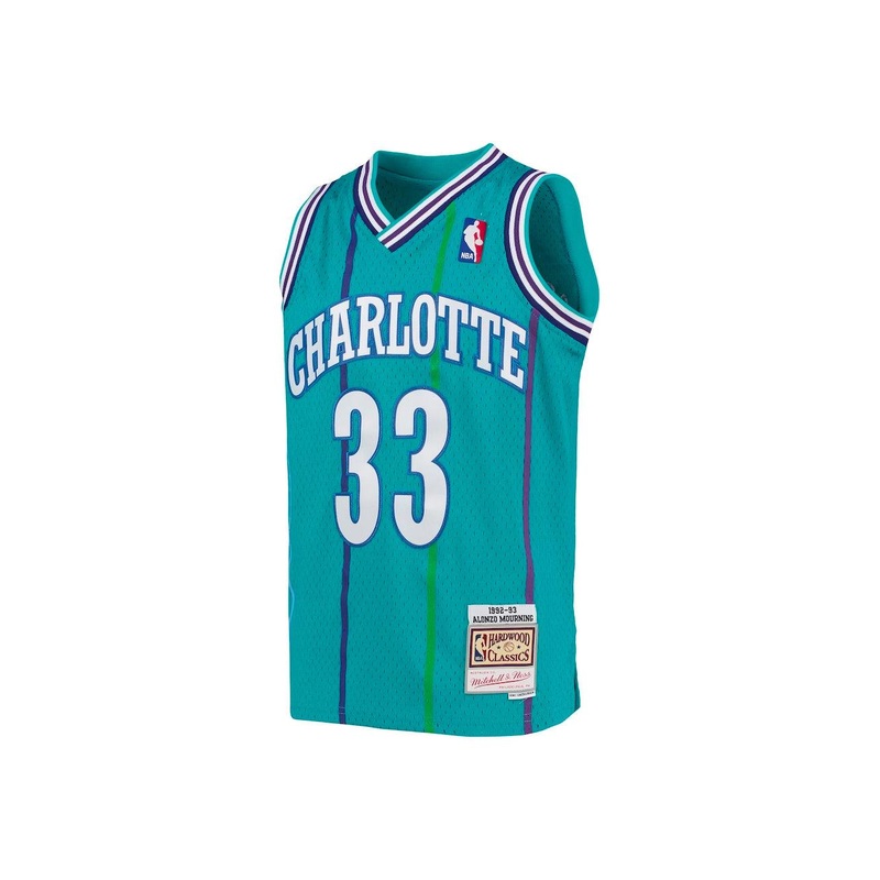 Youths Alonzo Mourning Charlotte Hornets Mitchell & Ness NBA Swingman Jersey – Teal