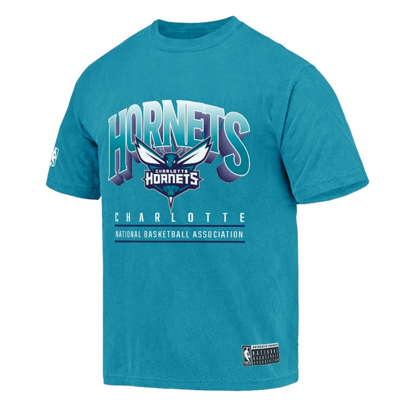 Charlotte Hornets NBA Essentials Newark Vintage T-Shirt – Faded Teal