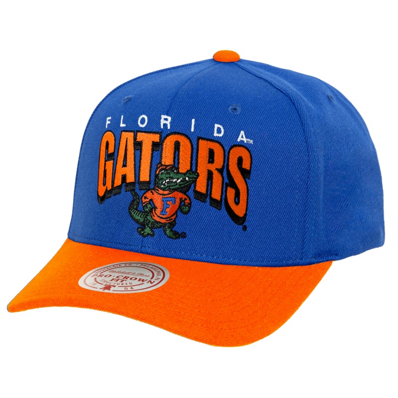 Florida Gators Mitchell & Ness NCAA Boom Text Snapback Hat – Blue