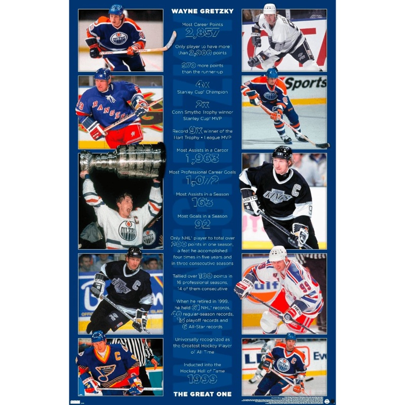 Wayne Gretzky Los Angeles Kings Trends NHL 61 x 91.5cm Stats Poster