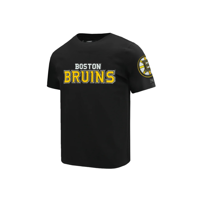 Boston Bruins Pro Standard NHL Classic Chenille T-Shirt – Black