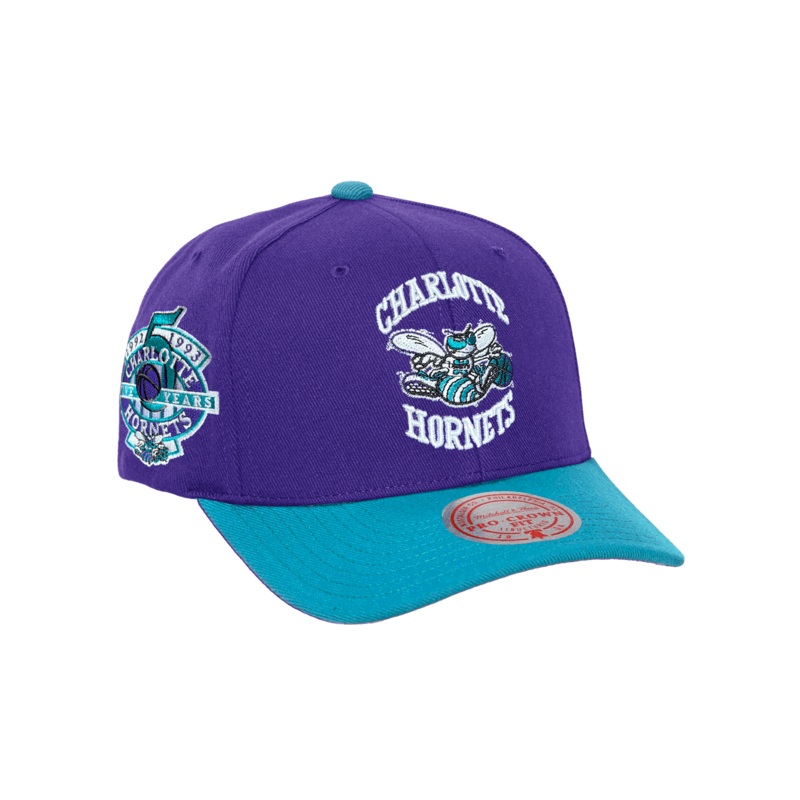 Charlotte Hornets Mitchell & Ness NBA Swarm & Sting Pro Crown Snapback Hat