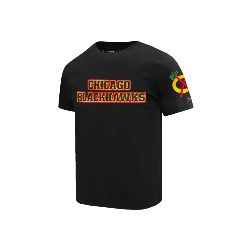 Chicago Blackhawks Pro Standard NHL Classic Chenille T-Shirt – Black