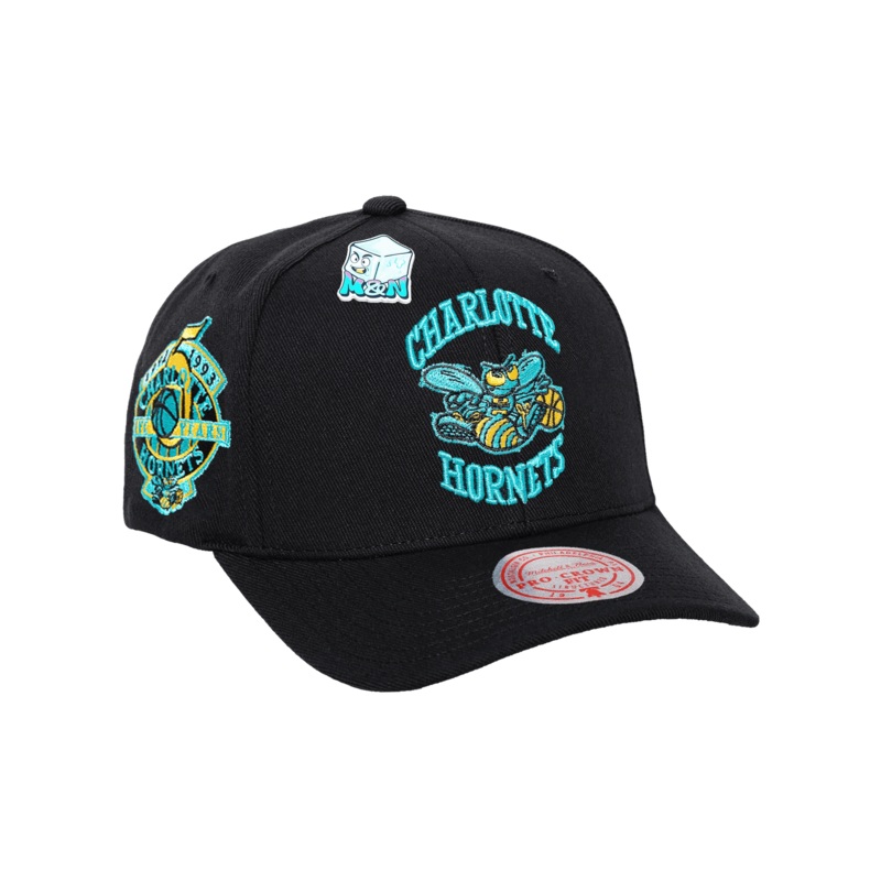 Charlotte Hornets Mitchell & Ness NBA Ice Cold Pro Crown Snapback Hat – Black
