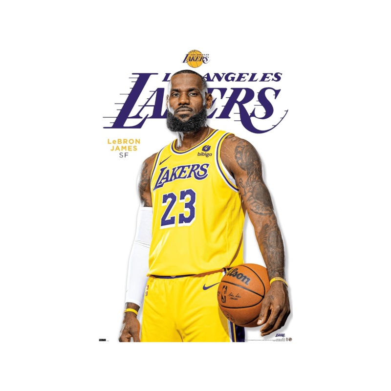 LeBron James Los Angeles Lakers Trends NBA 61 x 91.5cm Feature Poster