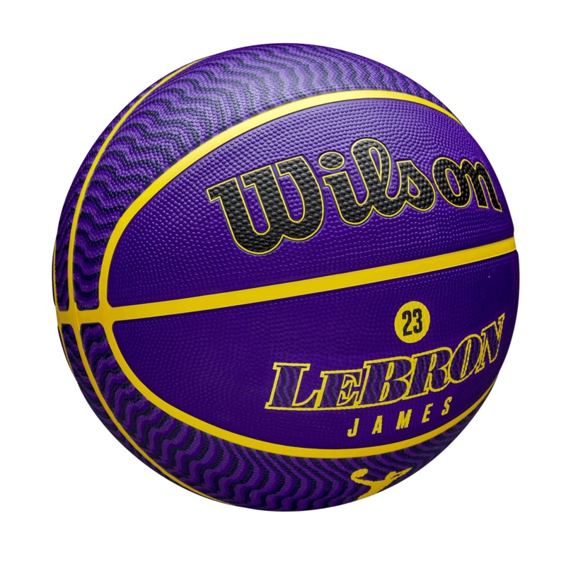 LeBron James Los Angeles Lakers Wilson NBA Icon 23 Full Size Basketball