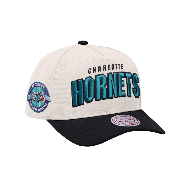 Charlotte Hornets Mitchell & Ness NBA HWC Draft Day Pro Pinch Snapback Hat